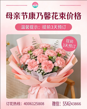 江门开平市花店母亲节康乃馨花束