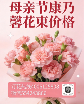 江门开平市花店母亲节康乃馨花束